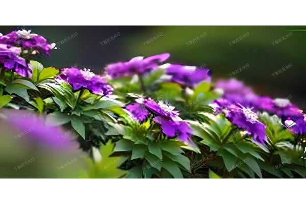 杭州桑拿新地标,宁波远洲大酒,养生休闲两不误! 杭州桑拿新地标,宁波远洲大酒,养生休闲两不误!